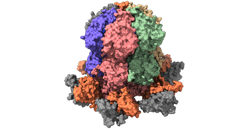 Protein Metamorphosis and Responsive Nanodevices | Center for Cellular ...