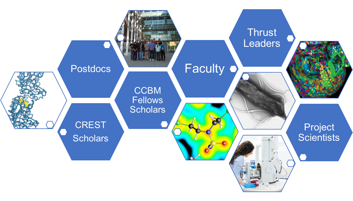 CCBM education