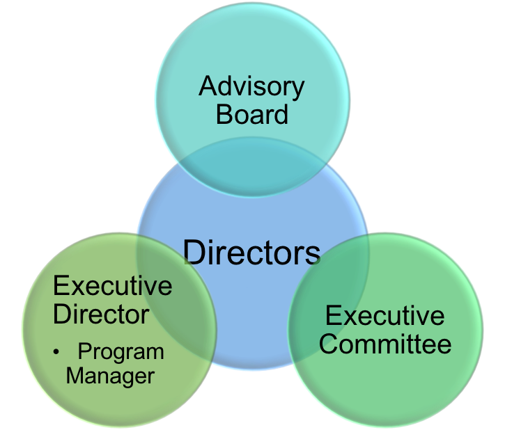 Strategic Goals of the CCBM