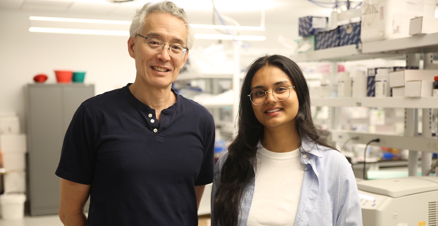 Professor Andy LiWang and student Areesha Tariq are pictured in his lab.