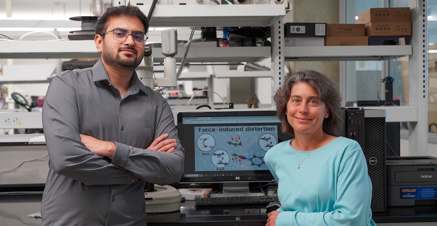 Depicted are postdoctoral researcher Sourabh Kumar and Professor Ashlie Martini in their lab.