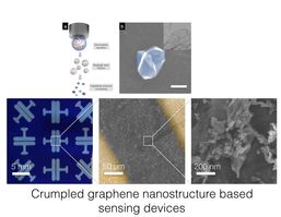 Crumpled graphene nanstructure based