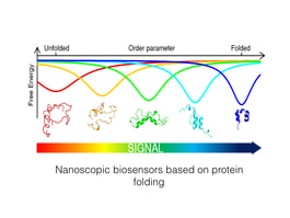 Nanoscopic biosensors based on protein folding