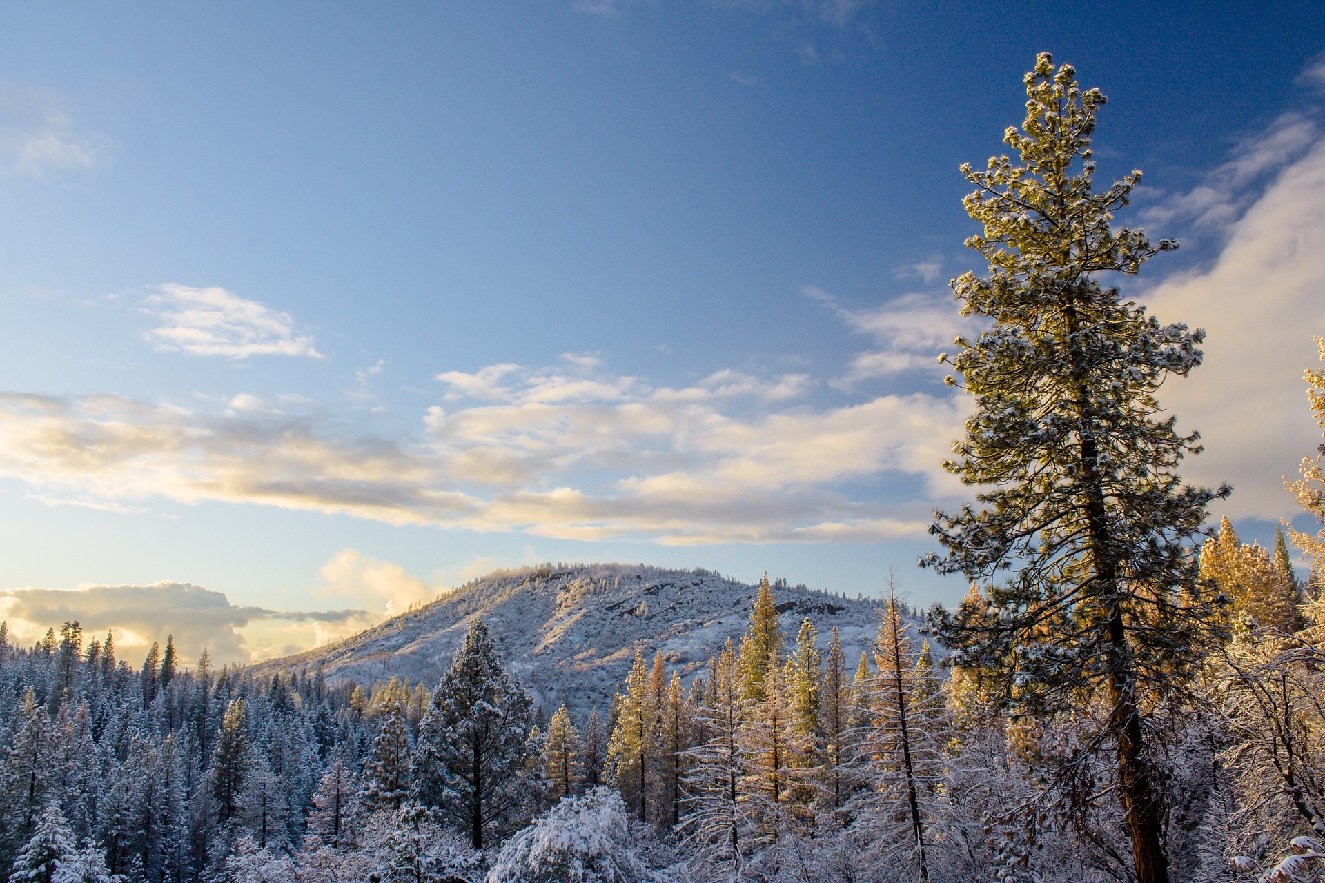 mountain landscape