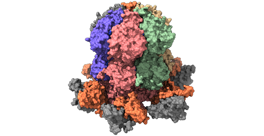 Andy LiWang lab research in Protein Metamorphosis and Responsive Nanodevices